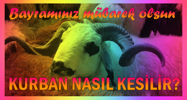 2019 Kurban Bayrami Namazi Saat Kacta Kilinacak Il Il Bayram Namazi Vakitleri Guncel Haberleri